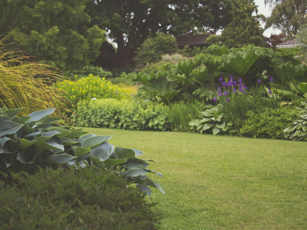Ornamental grass bed — Low-water grasses and perennials