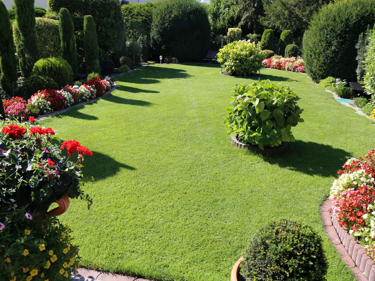 Full yard install — Lawn, borders and colour beds