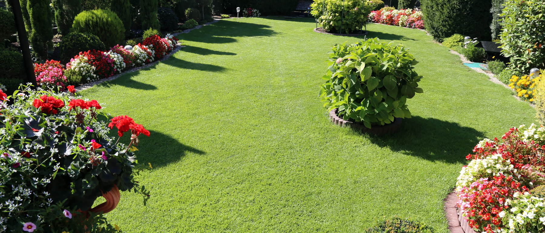 A finished lawn with planted borders and colour beds