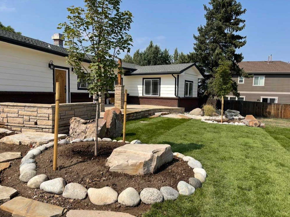 Cobble tree ring — Cobble ring and fresh sod around a new tree